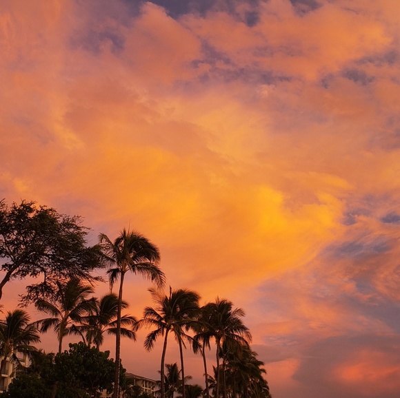 Meet your Posher, Kyra - Picture 1 of 1